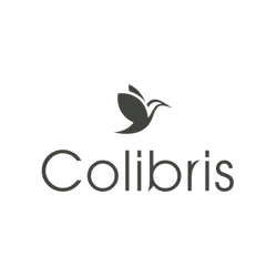 colibris plateforme analyse données conseil numérique