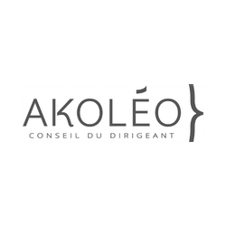 akoleo informatique dev logiciel innovation b2b