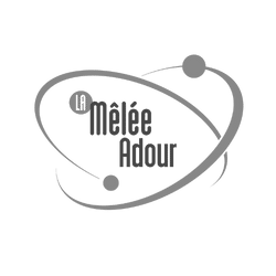 mêlée numérique marketing toulouse